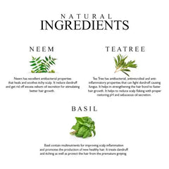 Neem Tea Tree and Basil Oil Ingredients