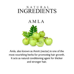 Pure Amla Hair Oil Paraben Mineral Oil Free